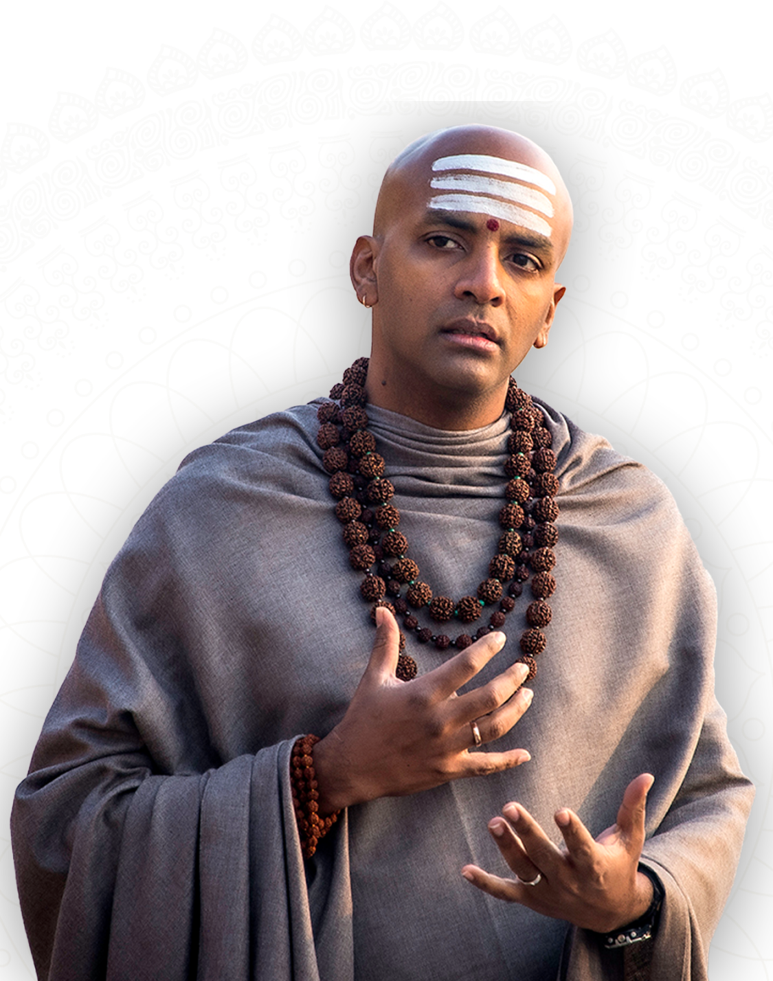 The picture of Dandapani speaking