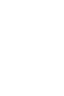 Portfolio Penguin logo